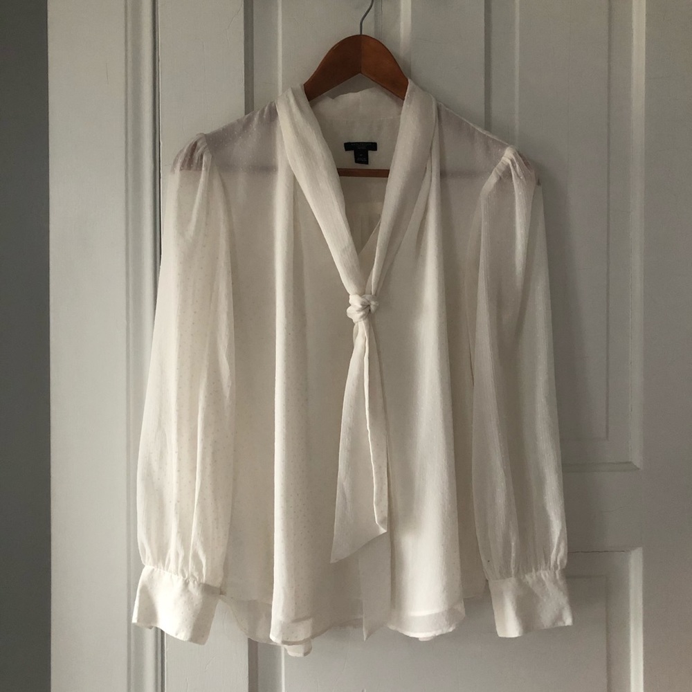 Ann Taylor blouse, long sleeve and creamy sheer